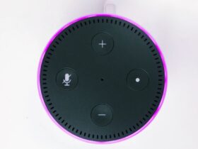 Come usare Alexa come cassa Bluetooth