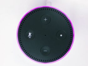 Come Usare Alexa Come Cassa Bluetooth