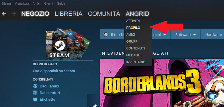 Entrare Profilo Steam