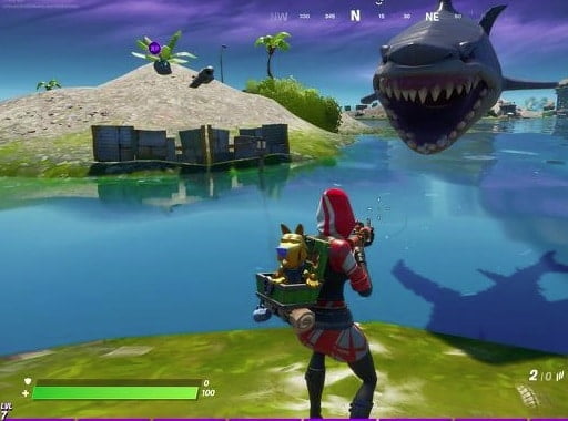 Dove Trovare Gli Squali Su Fortnite