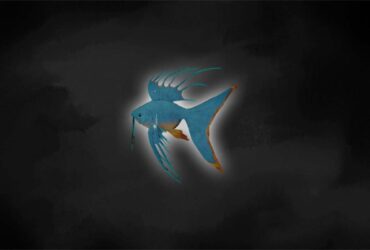 Dove Trovare Pescespina Galleggiante Su New World